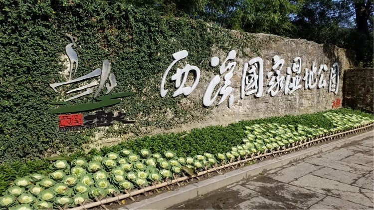 544130890957227749.jpg 544130890957227749.jpg