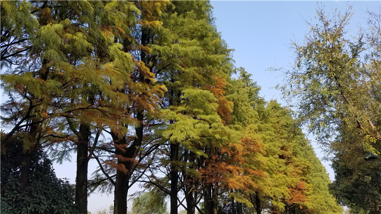 342306012296910375.jpg 342306012296910375.jpg