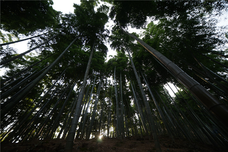 407891105663638871.jpg 407891105663638871.jpg